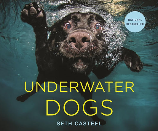 Underwater Dogs cover image